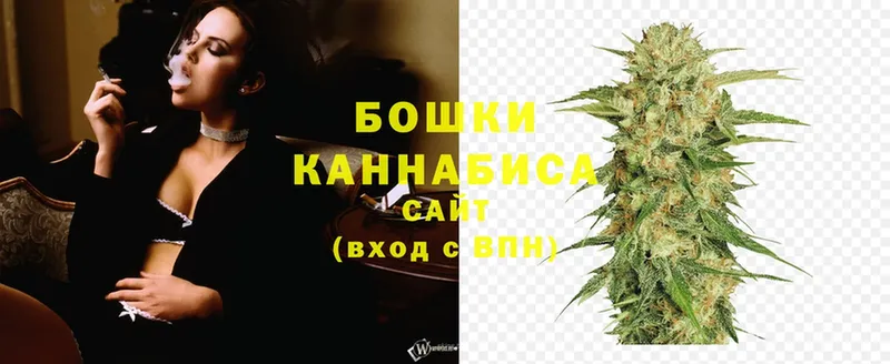 закладка  Александровск  Каннабис SATIVA & INDICA 